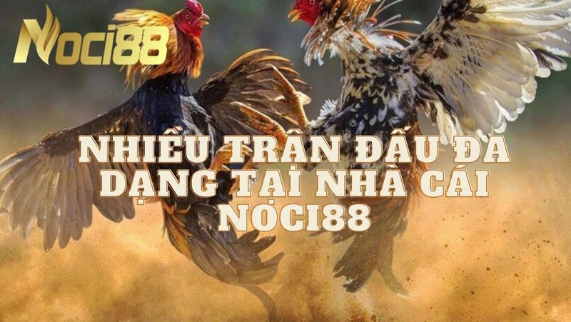 Có rất nhiều trận đấu đa dạng tại nhà cái Noci88