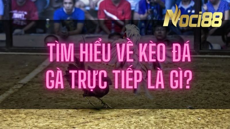 Kèo đá gà trực tiếp có luật chơi đơn giản