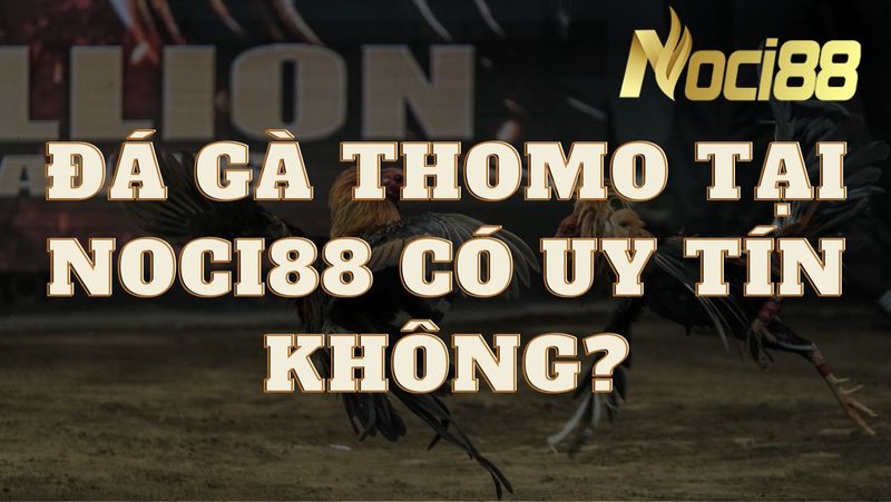 Đá gà tại Noci88 có uy tín không?